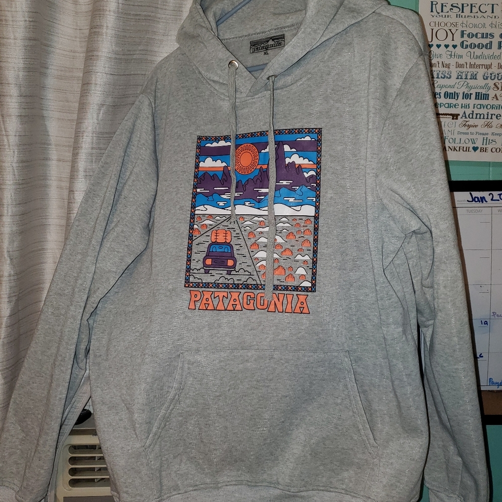 Men Patagonia hoodie